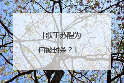 歌手苏醒为何被封杀?