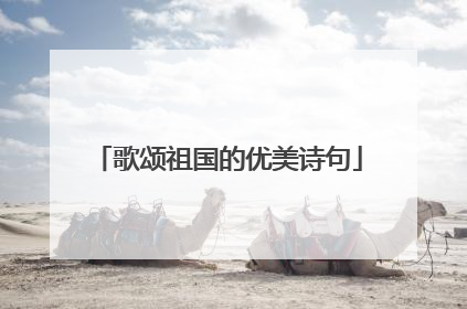 歌颂祖国的优美诗句