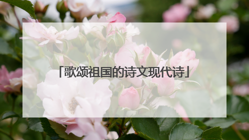 歌颂祖国的诗文现代诗