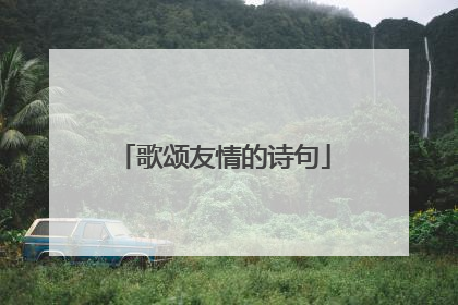 歌颂友情的诗句
