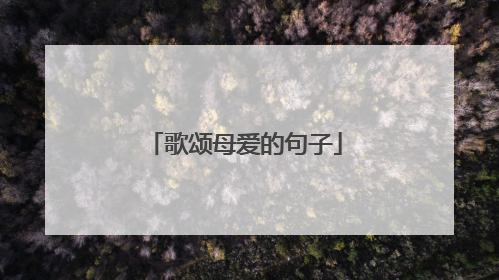 歌颂母爱的句子