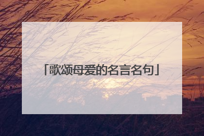 歌颂母爱的名言名句