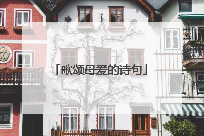 歌颂母爱的诗句