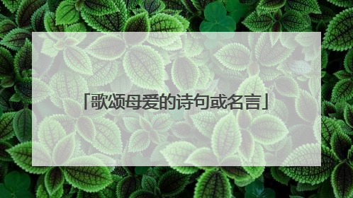 歌颂母爱的诗句或名言