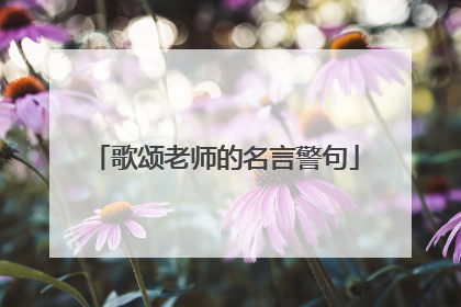 歌颂老师的名言警句