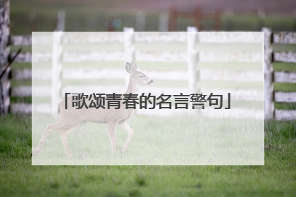 歌颂青春的名言警句