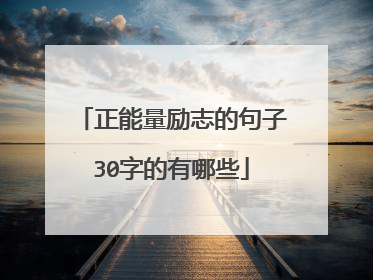 正能量励志的句子30字的有哪些