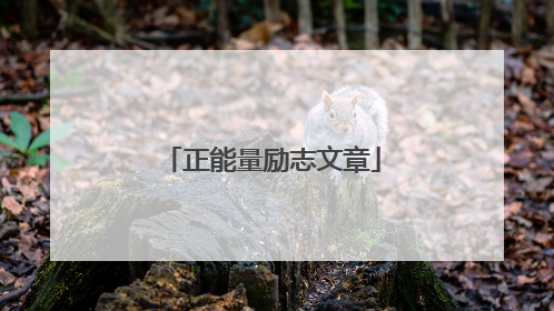 正能量励志文章