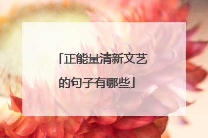 正能量清新文艺的句子有哪些