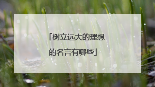 树立远大的理想的名言有哪些