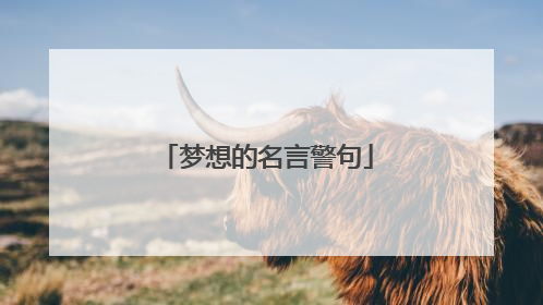 梦想的名言警句