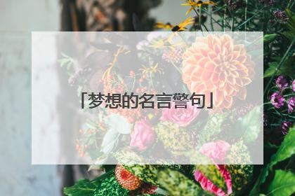 梦想的名言警句