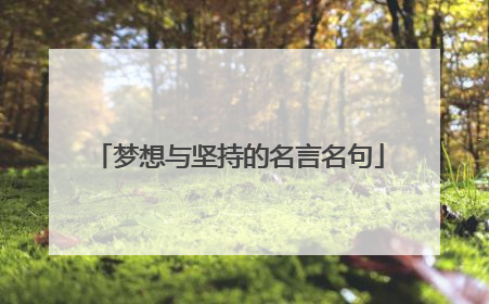 梦想与坚持的名言名句