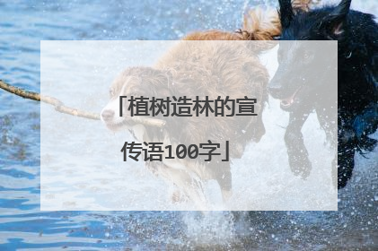植树造林的宣传语100字