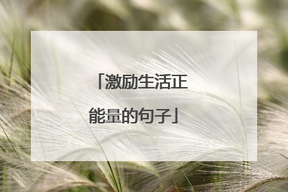 激励生活正能量的句子