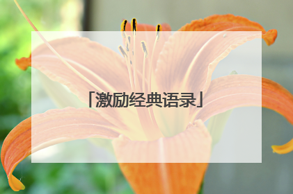 激励经典语录
