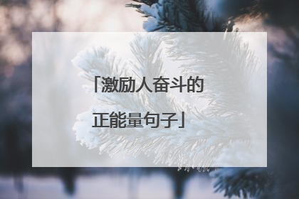 激励人奋斗的正能量句子