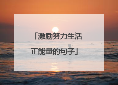 激励努力生活正能量的句子