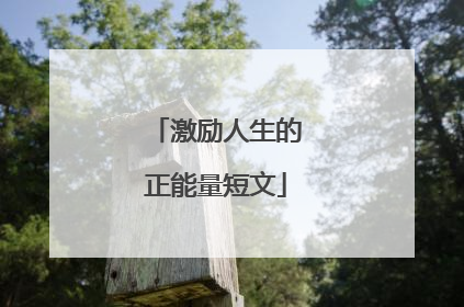 激励人生的正能量短文