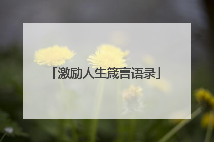 激励人生箴言语录