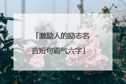 激励人的励志名言短句霸气六字