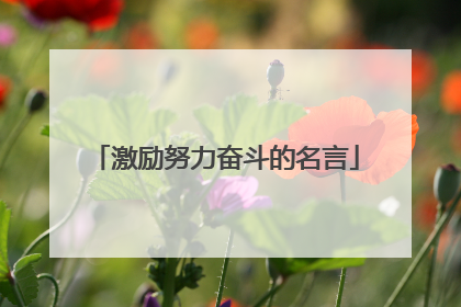 激励努力奋斗的名言