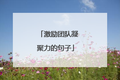 激励团队凝聚力的句子