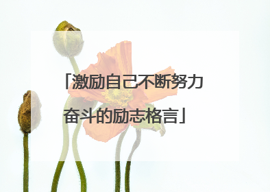 激励自己不断努力奋斗的励志格言