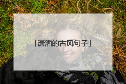 潇洒的古风句子
