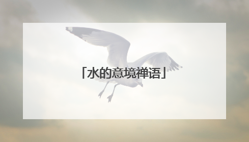 水的意境禅语