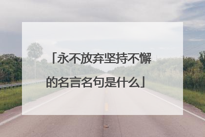 永不放弃坚持不懈的名言名句是什么