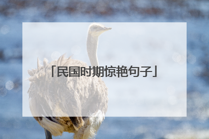 民国时期惊艳句子