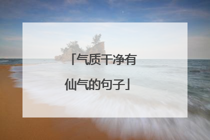 气质干净有仙气的句子