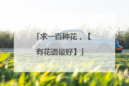 求一百种花，【有花语最好】