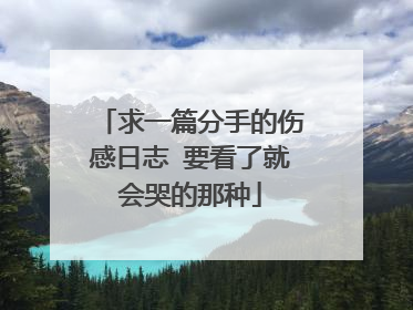 求一篇分手的伤感日志 要看了就会哭的那种