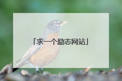 求一个励志网站