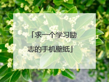 求一个学习励志的手机壁纸