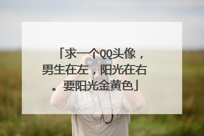 求一个QQ头像,男生在左,阳光在右。要阳光金黄色