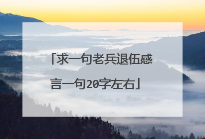 求一句老兵退伍感言一句20字左右