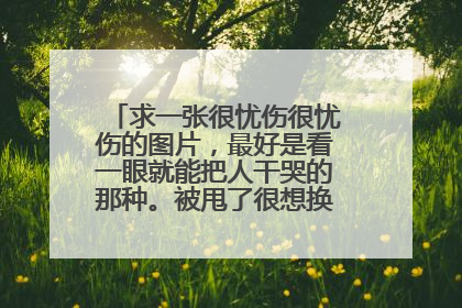 求一张很忧伤很忧伤的图片,最好是看一眼就能把人干哭的那种。被甩了很想换头像,求!求!!