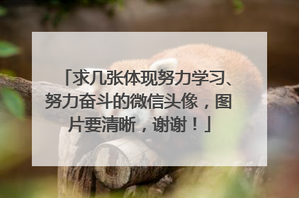 求几张体现努力学习、努力奋斗的微信头像,图片要清晰,谢谢!