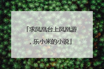求凤凰台上凤凰游，乐小米的小说