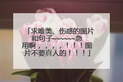 求唯美、伤感的图片和句子~~~~~~急用啊，，，，！！！图片不要真人的！！！