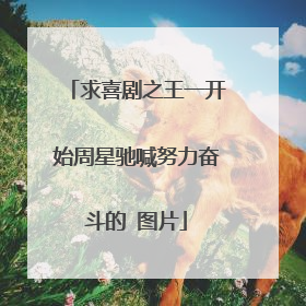 求喜剧之王一开始周星驰喊努力奋斗的 图片