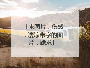 求图片,伤感,凄凉带字的图片,跪求