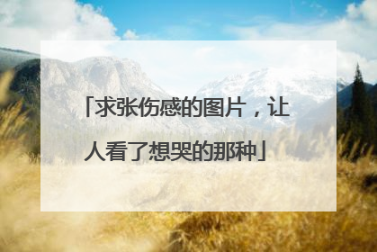 求张伤感的图片,让人看了想哭的那种