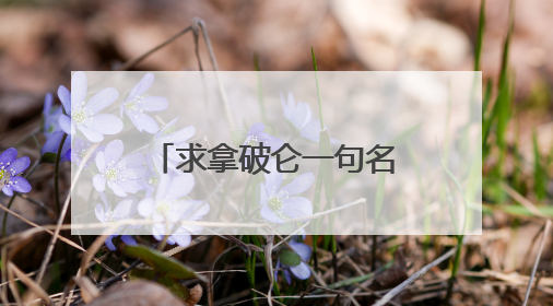 求拿破仑一句名言的英文原句