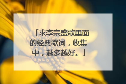 求李宗盛歌里面的经典歌词,收集中,越多越好。