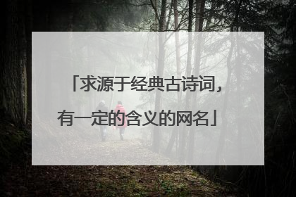 求源于经典古诗词,有一定的含义的网名