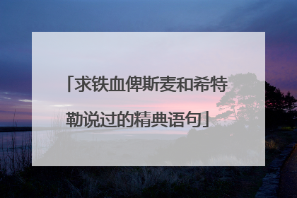求铁血俾斯麦和希特勒说过的精典语句